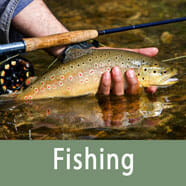 Fishing In Bryce Canyon