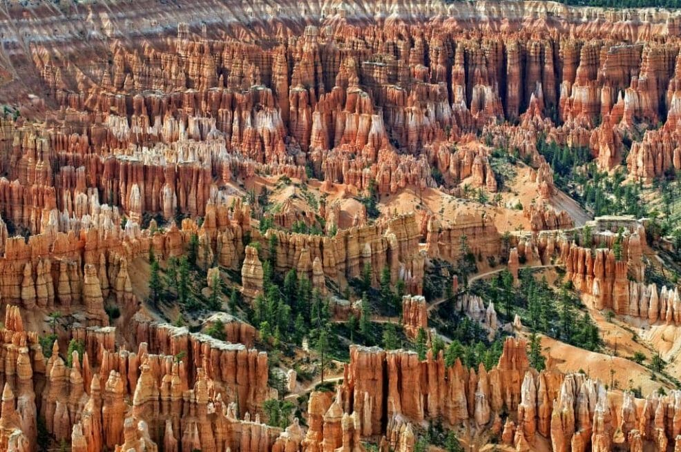 Amphitheater At Bryce Canyon