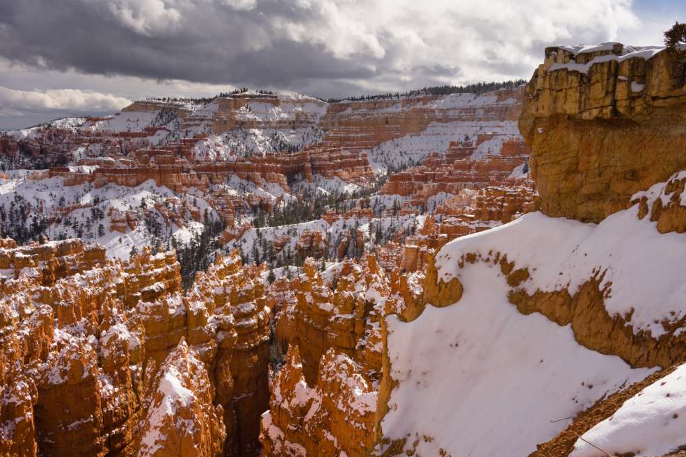 Fresh snow in Bryce Canyon National Park
