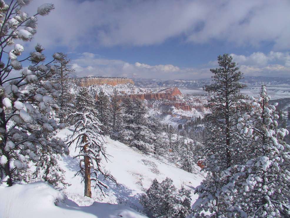 Avalanche Danger and Trail Closure in Bryce Canyon